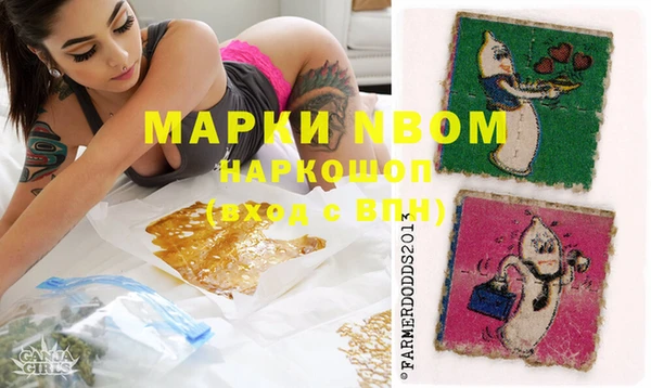 apvp Рославль