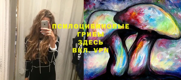 apvp Рославль