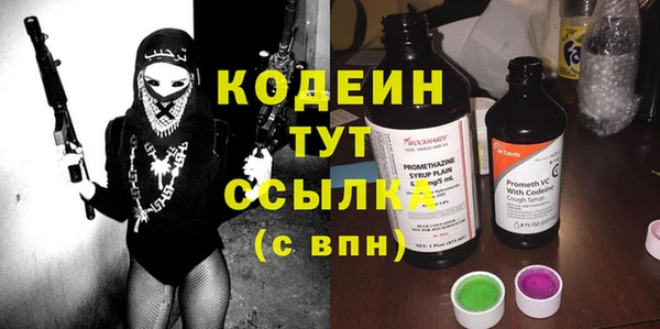 apvp Рославль