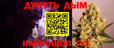 Альфа ПВП Дубна