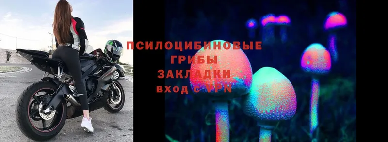 Псилоцибиновые грибы Magic Shrooms  как найти закладки  Советская Гавань 