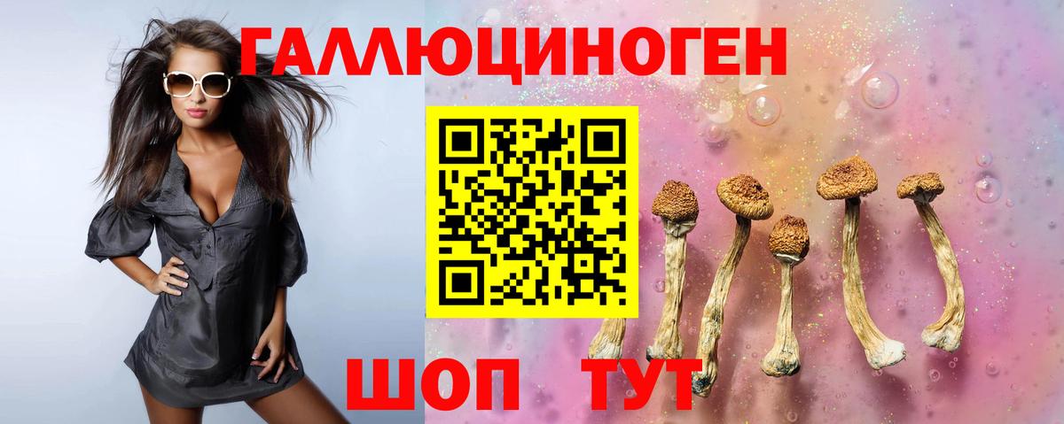 Галлюциногенные грибы Psilocybine cubensis  как найти   Советская Гавань  Вход с VPN 
